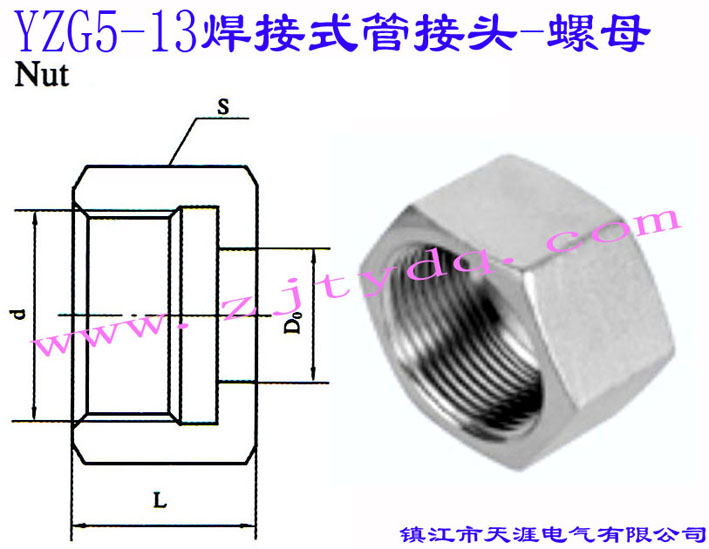 YZG5-13 ����ʽ�ܽ��^-��ĸNut